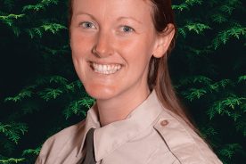 2b5ba5b0-e32a-11eb-8b7d-1244d5f7c7c6-ForestryRomney-4563Vs2-2