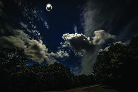 2d9cd33e-74c0-11e8-b9f5-12408cbff2b0-DSC_3266br2ws_1_