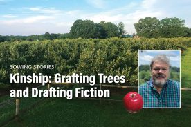 Farmer and author Evan Willams’ orchard grows heirloom apples.