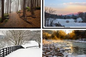 32543812-be85-11e4-ad9f-22000a4f82a6-Collage