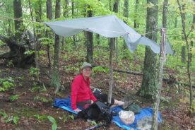 Rain ain't getting to us under this highly sophisticated set-up.