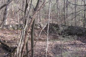 Remains of the old swimming pool along the stream below the former Camp Kewanzee.