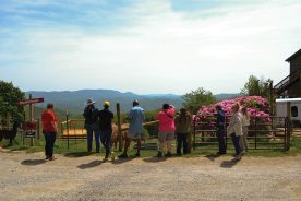 Apple Hill Farm offers great views as well as tours, socks, gloves and honey from on-site beehives.