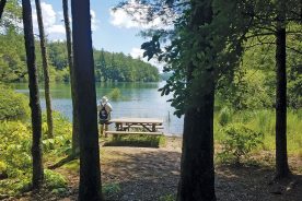 The Lake Nottely Improvement Association donated picnic tables.