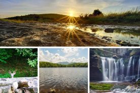 342bbfbc-0840-11e4-81bd-22000a4f82a6-BRC-Favorite-Photos-7-4-14