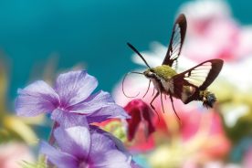 34697ebe-011c-11ed-98d0-12274efc5439-AdobeStock_249697370