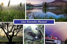 3515b0fc-e9f6-11e4-a451-22000a4f82a6-Collage