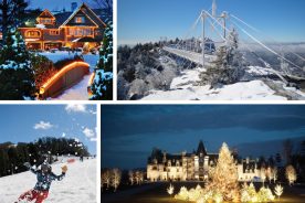 Clockwise from top left: The Festival of Lights at Chetola Resort, the mile-high swinging bridge at Grandfather Mountain, the Biltmore House Candlelight Christmas Evenings and Cataloochee Ski Area.