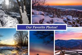 377bf982-d996-11e6-951d-0aea2a882f79-Collage