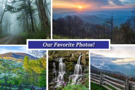 377cdb3c-30f7-11e7-9603-0aea2a882f79-Collage