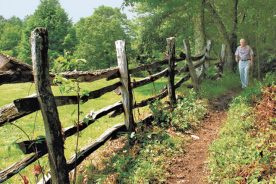 A retired Episcopal priest and native of Canton, N.C., Dan Matthews owns The Swag, a western North Carolina country inn, with his wife Deener.