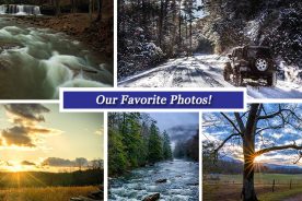 39faebce-de81-11e6-ae05-0aea2a882f79-Collage