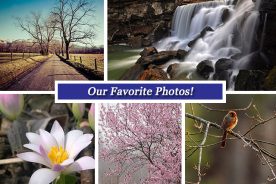 3acc4144-d3b9-11e4-9e99-22000a4f82a6-Collage