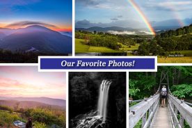 3b7a2b76-0549-11e5-a401-22000b078648-Collage