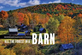 At Loafer’s Glory in Pendleton County, West Virginia, de Graauw’s work revealed new facts about the barn and house, and about the forest that provided the logs.