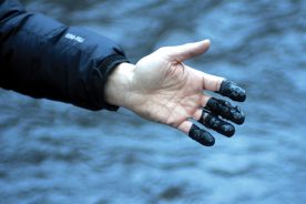 A coal-slurry spill polluted a creek in West Virginia’s Kanawha County.