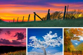 3f767cc6-7cc2-11e4-b0c0-22000a4f82a6-More-from-Jim-Ruff