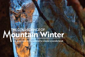 3fc41090-72d3-11eb-a32b-1244d5f7c7c6-BRCJF21_PhotoEssay