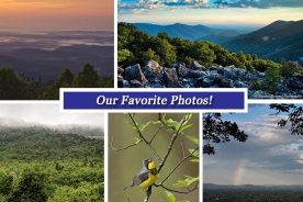 3fff29c6-2e6a-11e6-9ce3-129cbb969ec3-Metro_BRC_June10