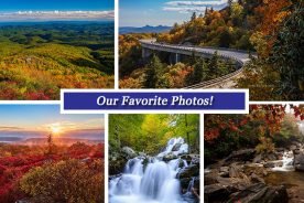 4124f96c-6df3-11e5-bc2a-22000b078648-Collage