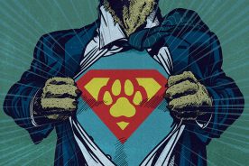 414e0012-54f0-11ea-aca5-1244d5f7c7c6-Power_of_Paws