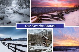 42ddf40e-c5f8-11e5-9673-22000b078648-Collage