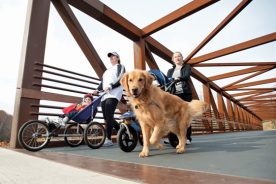 438e1ad6-ba3c-11e5-93af-22000b078648-EvolutionofHike