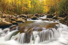 Flowing north through Tremont for six miles, the Little River’s Middle Prong is formed by the confluence of Lynn Camp Prong and Thunderhead Prong, and offers scenic solitude along its colorful shores. From the photographer: “Great Smoky Mountains is America’s most visited national park, and escaping the crowds to enjoy the park’s natural beauty can be a challenge. With proper timing, however, seclusion does exist.”