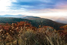 Virginia senators’ Shenandoah Mountain Act works to protect 92,000 acres as a special scenic area.