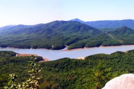 Carvins Cove Natural Reserve is the second largest municipal park in the country; the 800-acre lake within its 12,700 acres of land supplies surrounding areas with water.