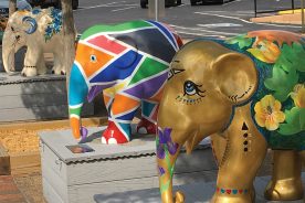 Main Street Erwin comes alive for the Great Outdoors Festival, even in the rain.