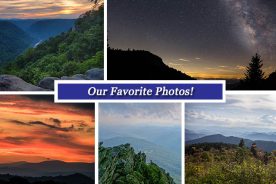 47c013d6-706f-11e6-a482-0a53cdaf7da3-CollageSept2