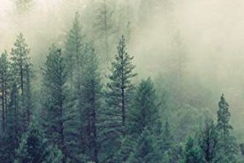 47e946e2-e4e2-11eb-9e3c-1244d5f7c7c6-IMG_0682