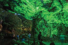 Shortwave ultraviolet light transforms Emerald Village into a colorful night spectacle.