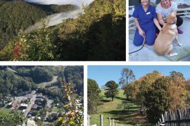 48635e4a-efd7-11e7-986b-121bebc5777e-Back-to-Gap