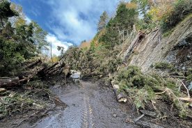 4930ef0c-c9d9-11ef-af4a-12163087a831-baa1b1dc-2784-4b29-9ec7-25fa2bf55362Original