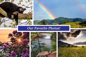 494a9aea-2372-11e6-b445-0a2c6093033d-collage_5.27