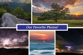 498d1076-5a6f-11e6-9db3-12955eaaf839-August5