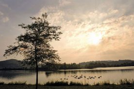Melton Hill Lake, in Oak Ridge, features a three-mile-long waterfront greenway for walkers, bikers and skaters; in the spring, rowing teams use the lake for practice and competition.