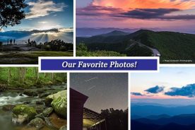 4a03df7e-656b-11e6-b140-0a53cdaf7da3-Collage_Aug_19