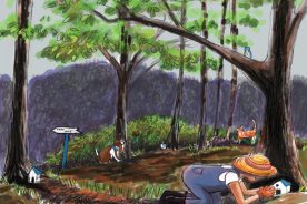 4a6d05a4-5ab0-11e7-a52a-0a5fbc963f88-Garden