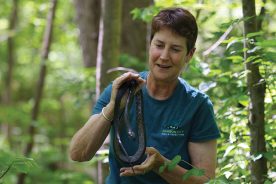 Connie Deegan on her love of snakes: “I just find them beautiful and important and fascinating.”