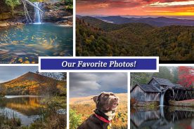 4b5d1282-7980-11e5-a1d4-22000b078648-Collage