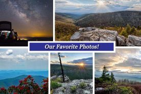 4b9b0b0c-1ded-11e6-a206-0afd25393cb5-collage_5.20