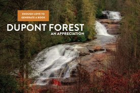 Triple Falls, at 120 feet, is one of the lures of Dupont State Forest.