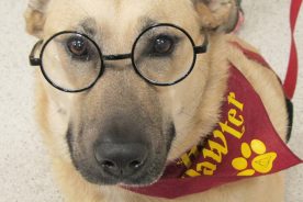 Weekly re-education is one key to Come. When. Called.