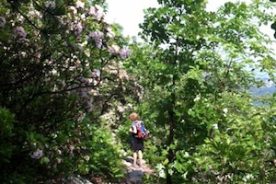 On the way to Buzzard Rocks.