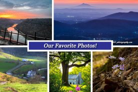 501e1c36-f760-11e5-93e7-22000b078648-Collage