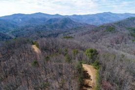 This protected tract will expand North Carolina’s Fonta Flora Trail.