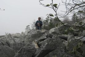 The rocks of the Devil's Marbleyard are about 2 million years old; the hiker is slightly less ancient.